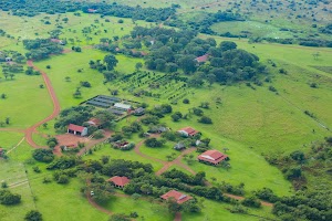 Rincón del Socorro place picture