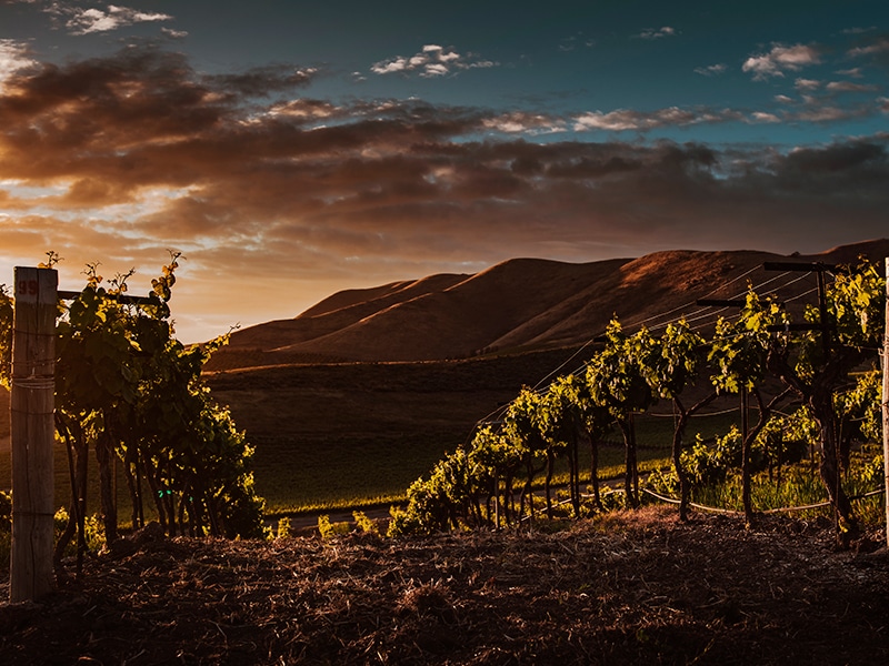 [YOUR KEYPHRASE HERE] - Chef-led lunches and boutique winery stays in the Uco Valley