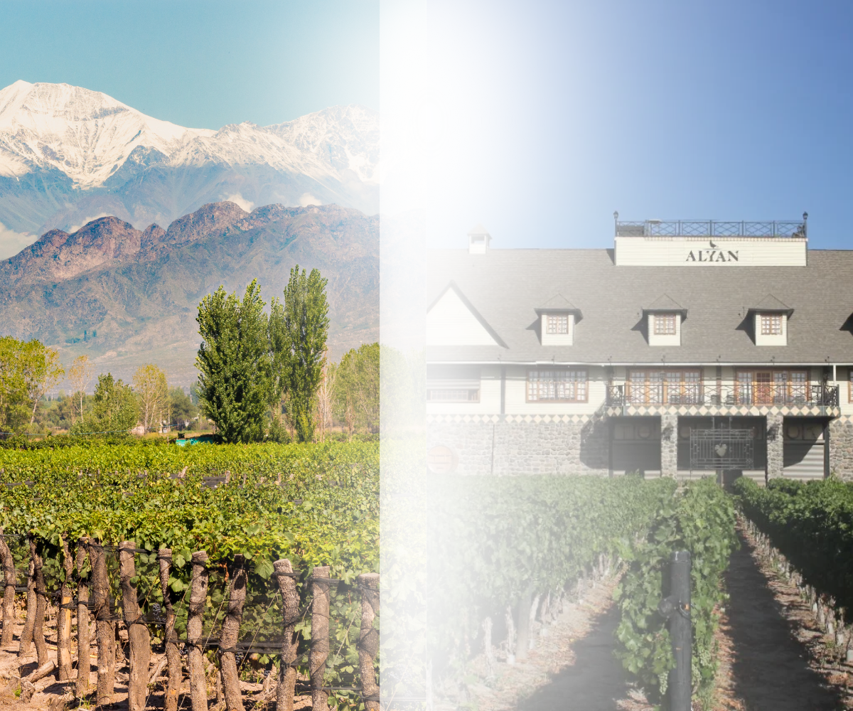 Mendoza and Santiago wine