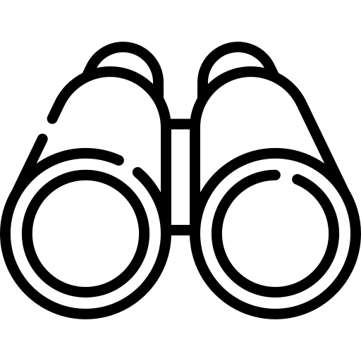 Panoramic viewpoints