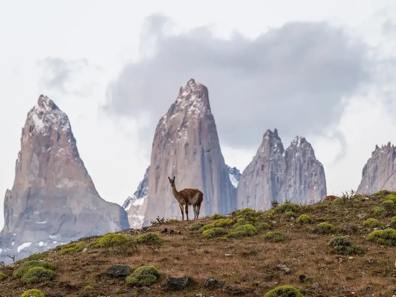 Luxury Patagonia Tour Chile and Argentina: A Seamless Journey