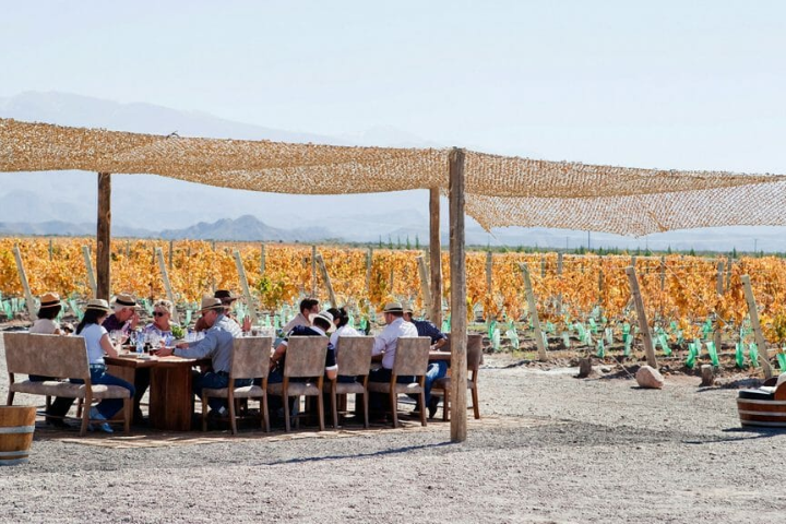 Gourmet brunch setup after a Mendoza wedding