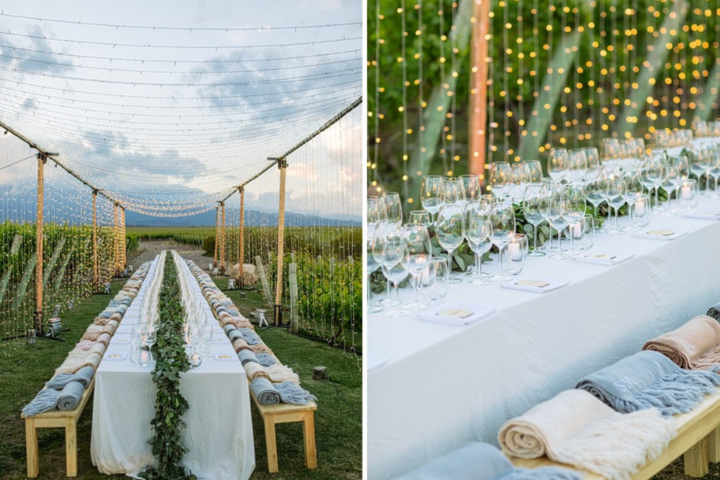 Elegant long table dinner setup in Uco Valley
