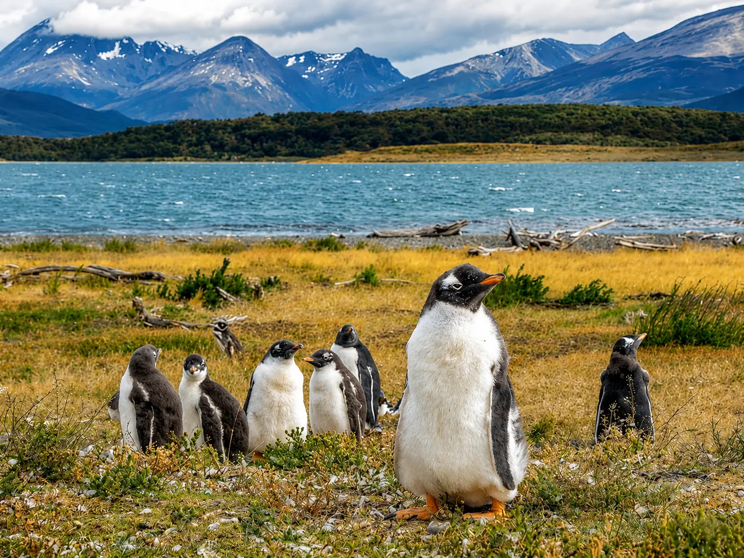 Ushuaia